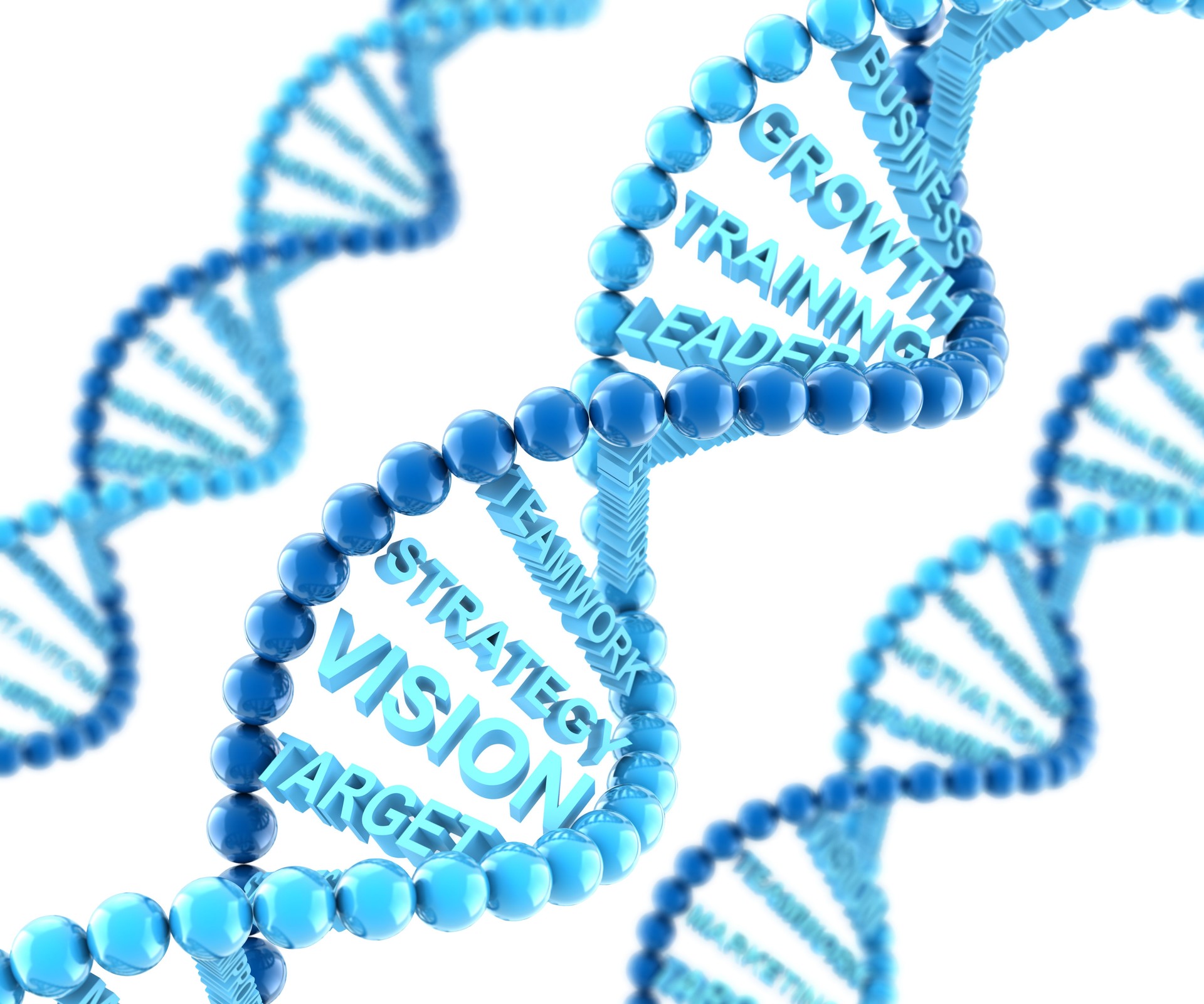 Business essentials Business essentials